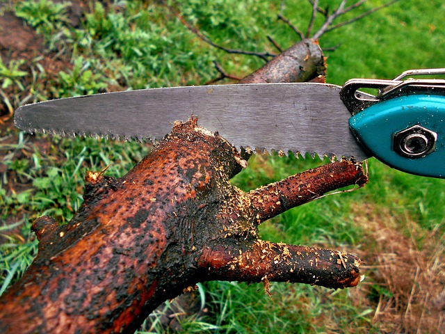 Alles wat je moet weten over het kiezen van de juiste reciprozaagbladen